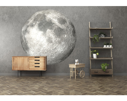 Wohnzimmer mit Sideboard, Regal, Spielzeugwagen und Mondtapete