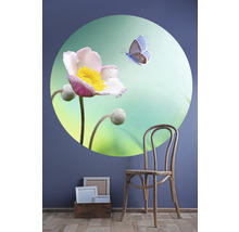Fototapete Vlies HRBC200061 Blume mit Schmetterling Ø 190 cm