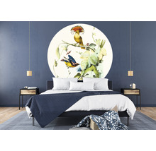 Fototapete Vlies HRBC200058 Vogel Illustration 1 Ø 190 cm