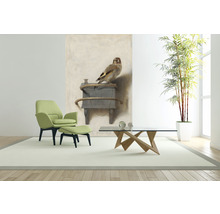 Fototapete Vlies HRBP200031 Carel Fabritius Der Distelfink 4-tlg. 194 x 280 cm