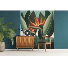 Fototapete Vlies HRBP300039 Thornton Strelitzia 5-tlg. 243 x 280 cm