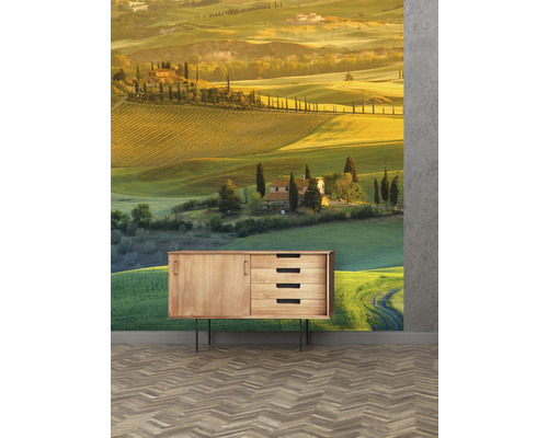 Wandbild mit Landschaftsmotiv über einem Holzschrank