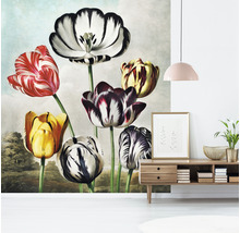 Fototapete Vlies HRBP300077 Thornton Tulpen 5-tlg. 243 x 280 cm