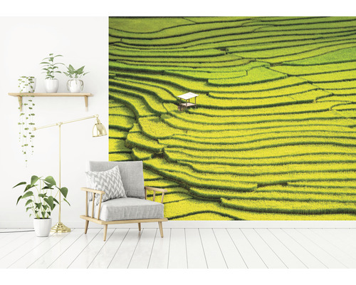 Wandbild mit Reisterrassen-Motiv in einem Wohnraum