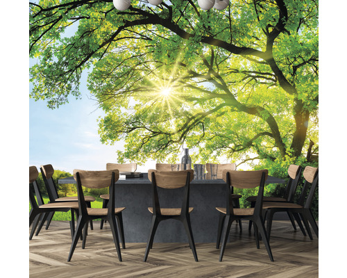 Fototapete mit Baum und Esstisch für eine helle, einladende Atmosphäre
