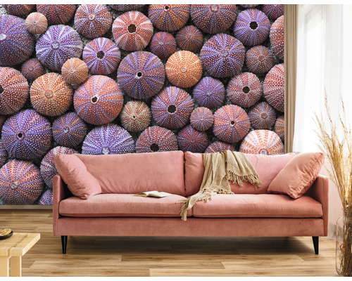 Wohnzimmer mit Sofa vor einer Fototapete mit Seeigel-Motiv.
