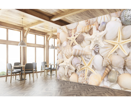 Fototapete mit Muscheln und Seesternen in einem Restaurant.