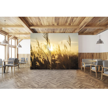 Wohnraum mit Holzbalkendecke, Holzboden im Fischgrätmuster und Fototapete mit Gräsern im Abendlicht.