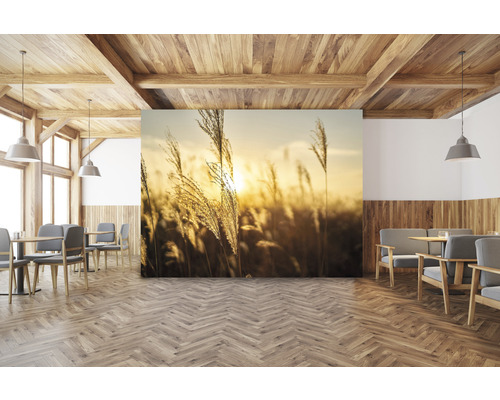 Wohnraum mit Holzbalkendecke, Holzboden im Fischgrätmuster und Fototapete mit Gräsern im Abendlicht.