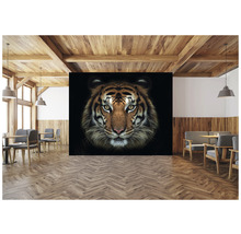 Fototapete Vlies HRBP100009 Tiger 7-tlg. 340 x 254 cm