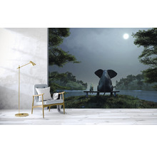 Fototapete Vlies HRBP100015 Elefant und Hund 2 7-tlg. 340 x 254 cm