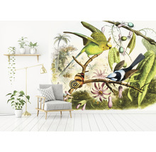 Fototapete Vlies HRBP100059 Vogel Illustration 2 7-tlg. 340 x 254 cm