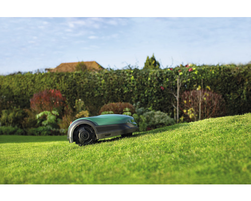 Rasenmähroboter auf Rasenfläche