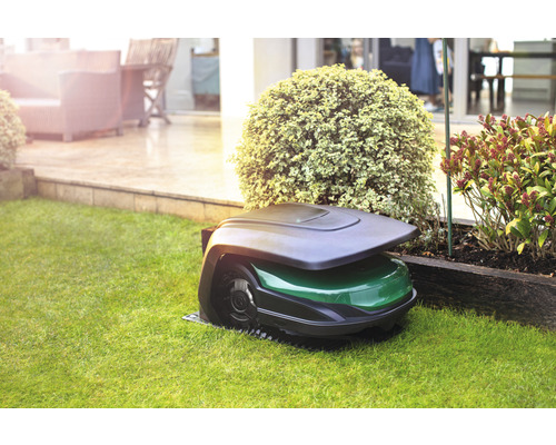 Rasenmähroboter auf Rasen vor Terrasse und Pflanzen