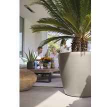 Pflanzkübel Lechuza Classico Color Ø 60 cm sandbraun