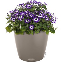 Blumentopf Lechuza Classico Color Ø 43 cm sandbraun