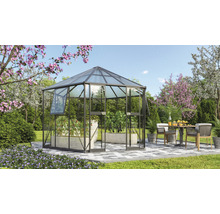 Gewächshaus Vitavia Galaxis 9000 Einscheibensicherheitsglas/ Hohlkammerplatten 3/6mm 336 x 383 cm schwarz