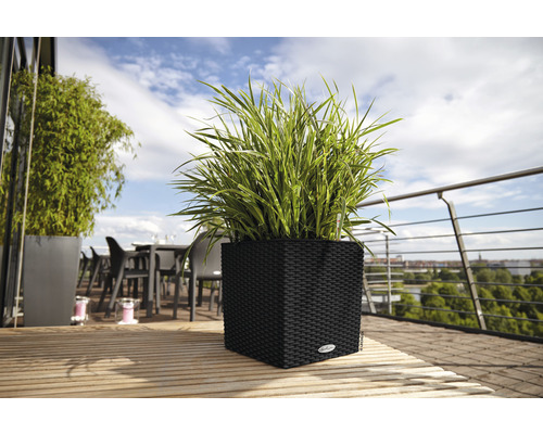 Pflanze in einem quadratischen, geflochtenen Pflanzgefäß auf einer Holzterrasse