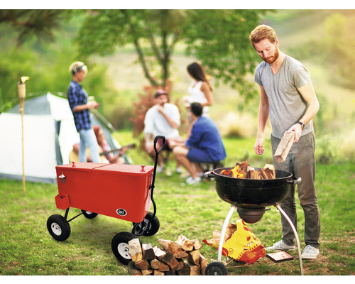 Szene im Freien mit Grill, Holzkohle und Kühlwagen bei einer Gartenparty