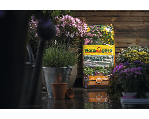 Kbelpflanzenerde Mediterran Floragard (60 Sack x 40 Liter | HORNBACH
