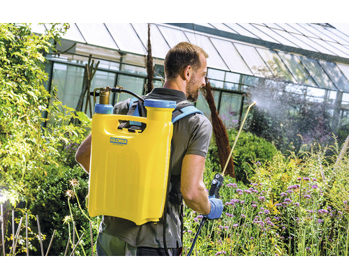 Mann verwendet eine Gloria Rückenspritze zur Gartenarbeit