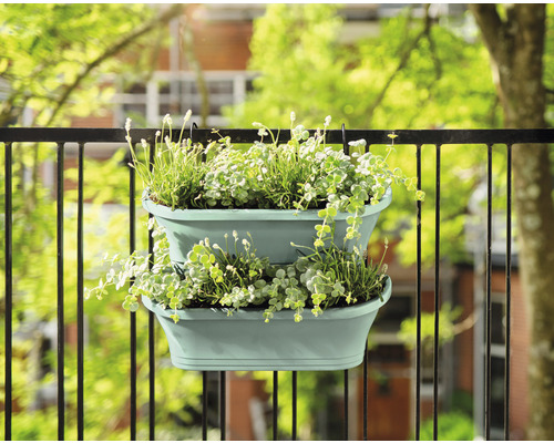 Doppelter Balkonkasten mit Pflanzen am Geländer