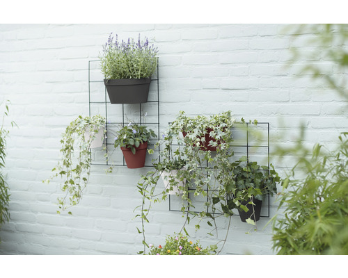 Wanddekoration mit Pflanzen in Töpfen an einem schwarzen Gitter