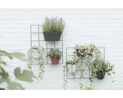 Dekorative Wandgestaltung mit Pflanzkästen und Pflanzen an einer weißen Backsteinmauer