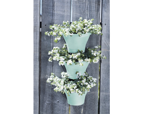 Drei Blumentöpfe mit weißen Blumen hängen an einem Holzzaun.