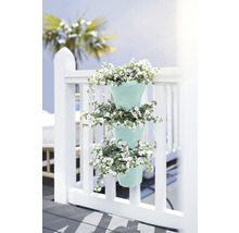 Drei Blumentöpfe mit weißen Blumen hängen an einem weißen Zaun.