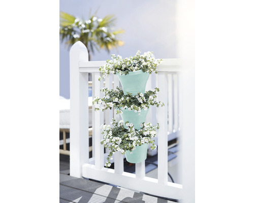 Drei Blumentöpfe mit weißen Blumen hängen an einem weißen Zaun.