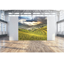 Wandtuch Sawah 300x250 cm