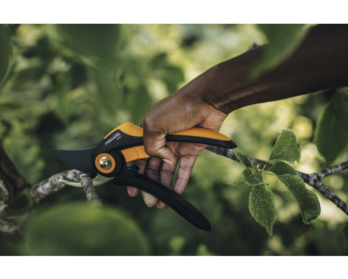 Gartenschere schneidet einen Ast