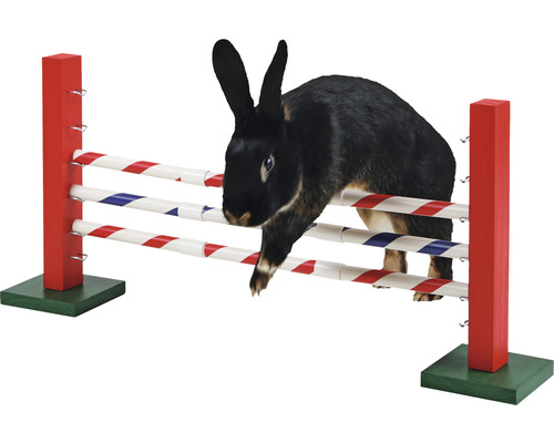 Ein Kaninchen springt über ein Hindernis.