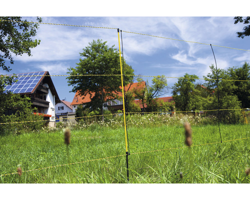 Elektrischer Weidezaun mit gelben Litzen und schwarzen Pfosten im grünen Gras