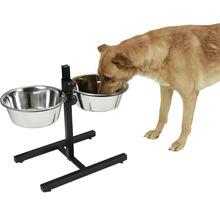 Hund frisst aus erhöhtem Futterständer mit zwei Edelstahlnäpfen