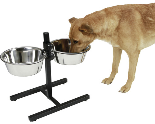Hund frisst aus erhöhtem Futterständer mit zwei Edelstahlnäpfen