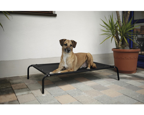 Hund liegt auf einem schwarzen Hundebett im Freien