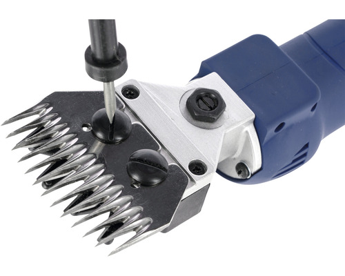 Detailaufnahme einer Tierhaarschneidemaschine mit Schraubendreher zur Einstellung der Klinge