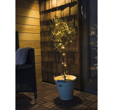Dekorativer Baum mit Lichtern in einem Eimer auf einer Terrasse.