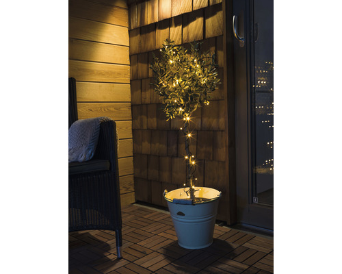 Dekorativer Baum mit Lichtern in einem Eimer auf einer Terrasse.