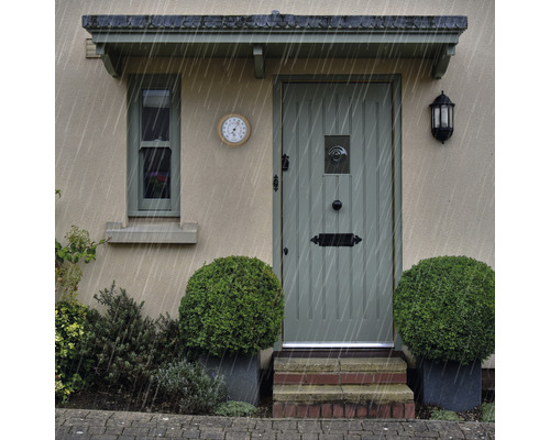 Eingangsbereich eines Hauses mit Tür, Fenster, Thermometer und Pflanzen bei Regen