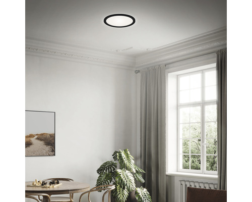 Wohnzimmer mit Esstisch, Zimmerpflanze, Fenster und runder Deckenleuchte