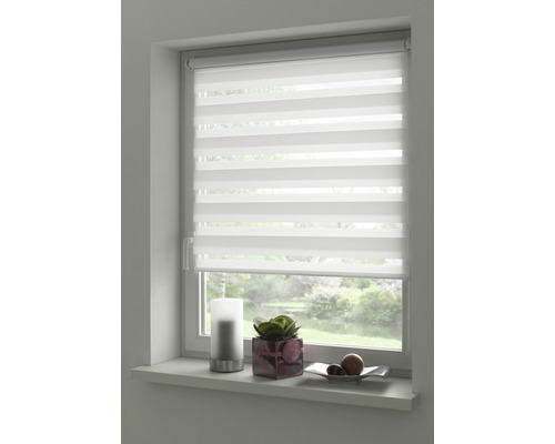 Fenster mit Doppelrollo zur Lichtregulierung