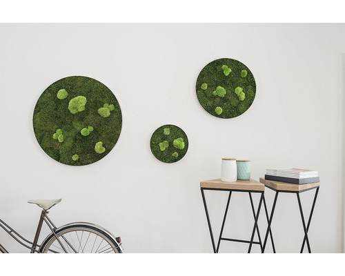 Wanddekoration mit Moosbildern in runder Form, Fahrrad und Beistelltischen in einem hellen Raum.
