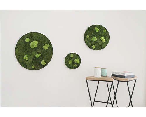 Wanddekoration mit drei runden Moosbildern und zwei Beistelltischen mit Dekoration