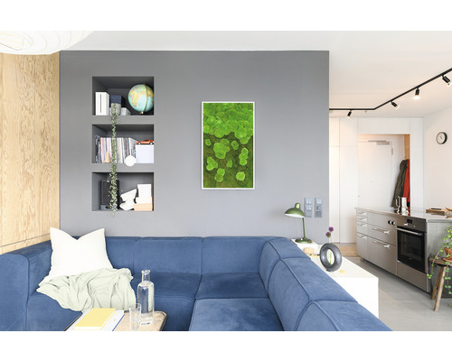 Wohnzimmer mit blauem Sofa, Wandregalen und Moosbild an der Wand