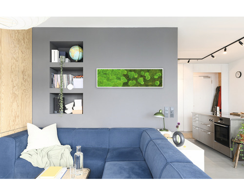 Wohnzimmer mit blauem Sofa, Wandregalen und Moosbild