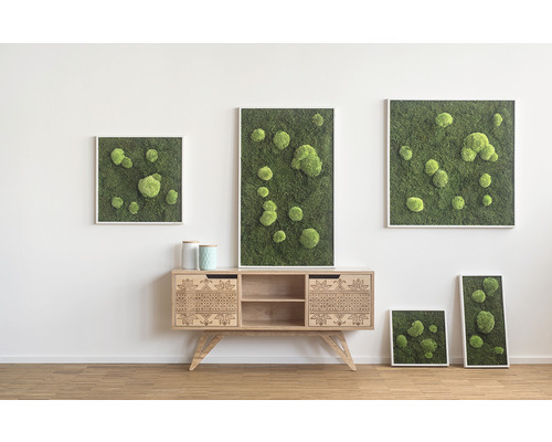 Wanddekoration mit Moosbildern und Sideboard im Wohnzimmer