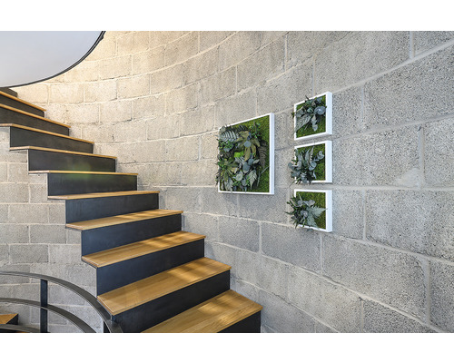 Treppe mit Wanddekoration aus künstlichen Pflanzen in weißen Rahmen